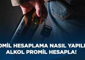 Promil Hesaplama