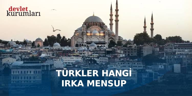 Türkler Hangi Irka Mensup 